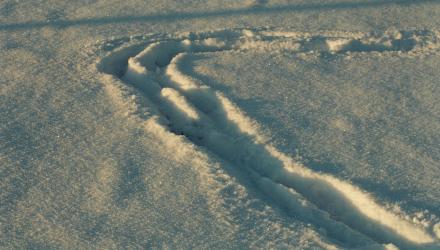 Mukulis, Vil��u pog., Rieziknis raj.